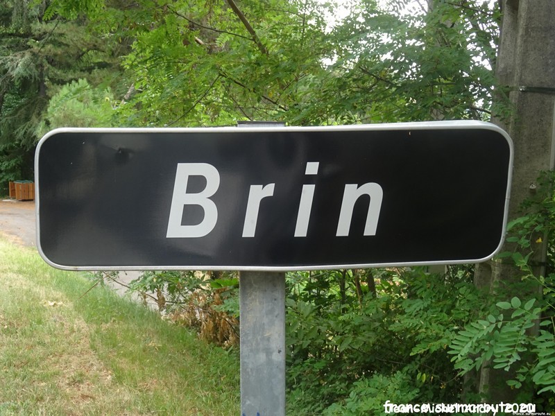 Brin H 30.jpg