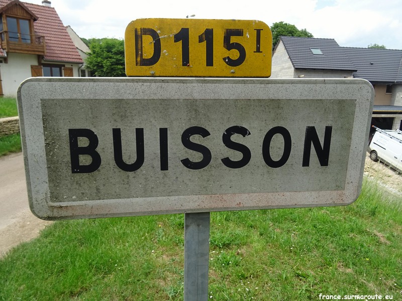 Buisson H 21.JPG