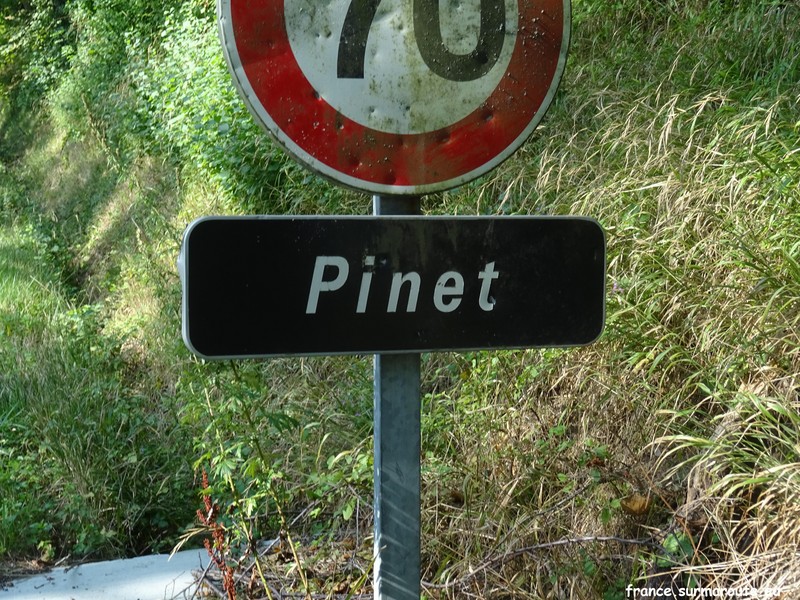Pinet H 26.JPG