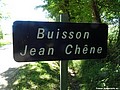 Buisson Jean Chêne H 71.JPG
