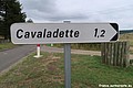 Cavaladette H 48.JPG