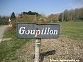 Goupillon H 60.JPG
