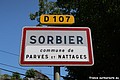 Sorbier H 01.JPG