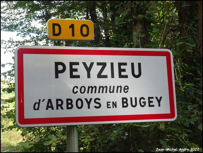 Arboys en Bugey 01 - Jean-Michel Andry.jpg