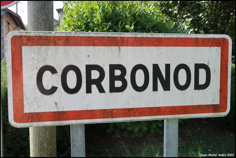 Corbonod  01 - Jean-Michel Andry.jpg
