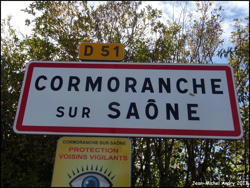 Cormoranche-sur-Saône 01 - Jean-Michel Andry.jpg