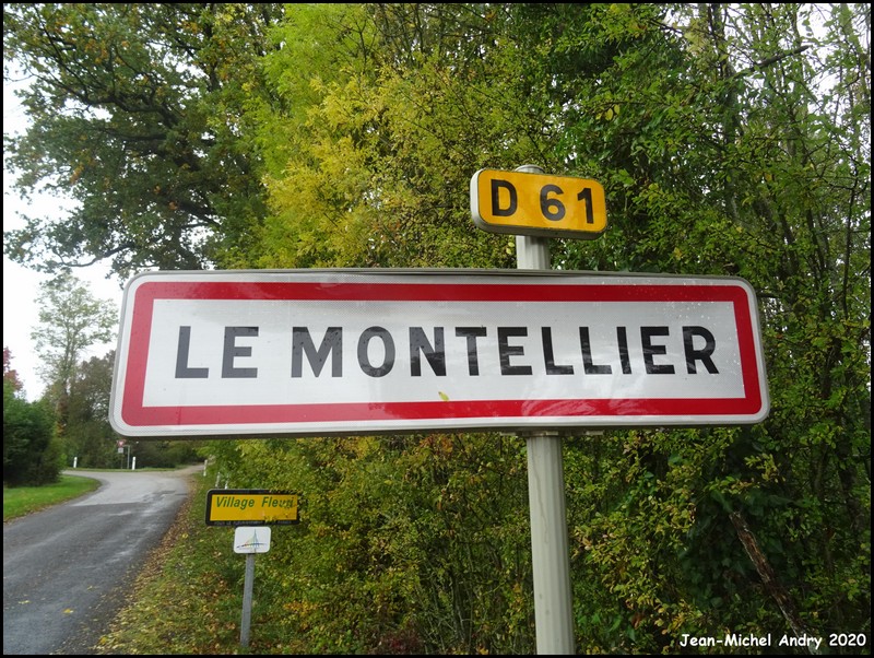 Le Montellier 01 - Jean-Michel Andry.jpg