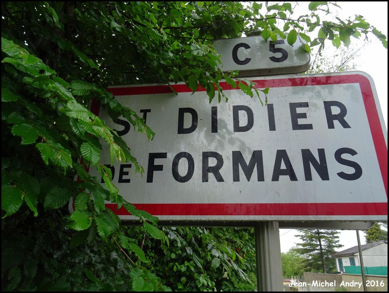 Saint-Didier-de-Formans 01 - Jean-Michel Andry.JPG