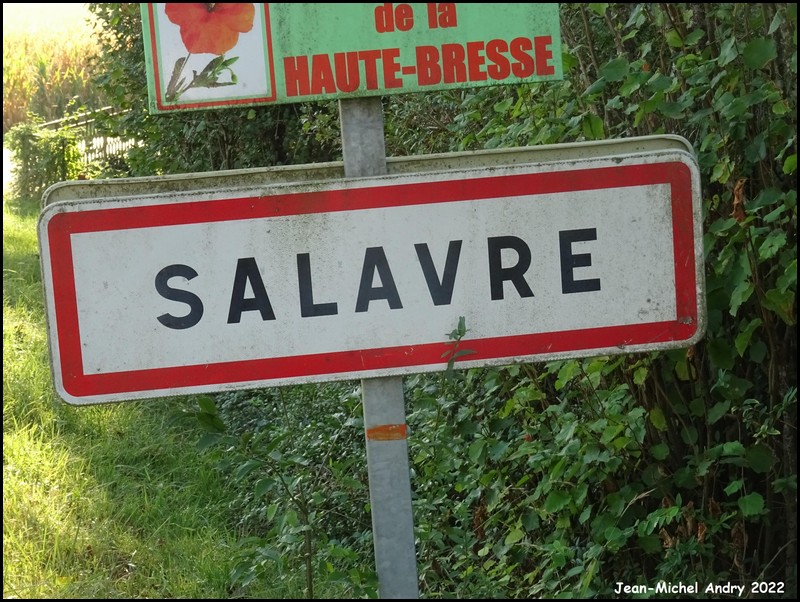 Salavre 01 - Jean-Michel Andry.jpg
