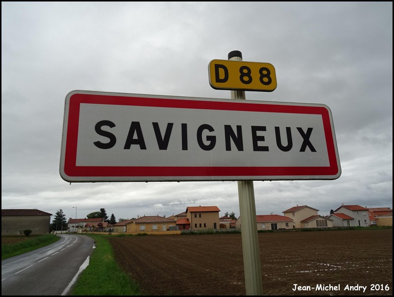 Savigneux 01 - Jean-Michel Andry.JPG