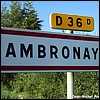 Ambronay 01 - Jean-Michel Andry.jpg