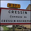 Cressin-Rochefort 1 01 - Jean-Michel Andry.jpg