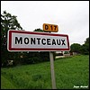 Montceaux 01 - Jean-Michel Andry.JPG