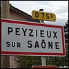 Peyzieux-sur-Saône 01 - Jean-Michel Andry.jpg