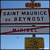 Saint-Maurice-de-Beynost 01 - Jean-Michel Andry.jpg