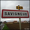 Savigneux 01 - Jean-Michel Andry.JPG