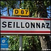 Seillonnaz 01 - Jean-Michel Andry.jpg