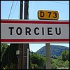 Torcieu 01 - Jean-Michel Andry.jpg