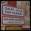 Saint-Jean-Cap-Ferrat 06 - Jean-Michel Andry.jpg