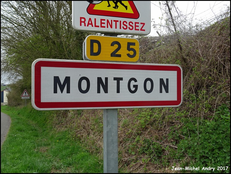 Montgon 08 - Jean-Michel Andry.jpg