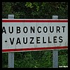 Auboncourt-Vauzelles 08 - Jean-Michel Andry.jpg