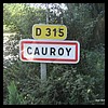 Cauroy 08 - Jean-Michel Andry.jpg