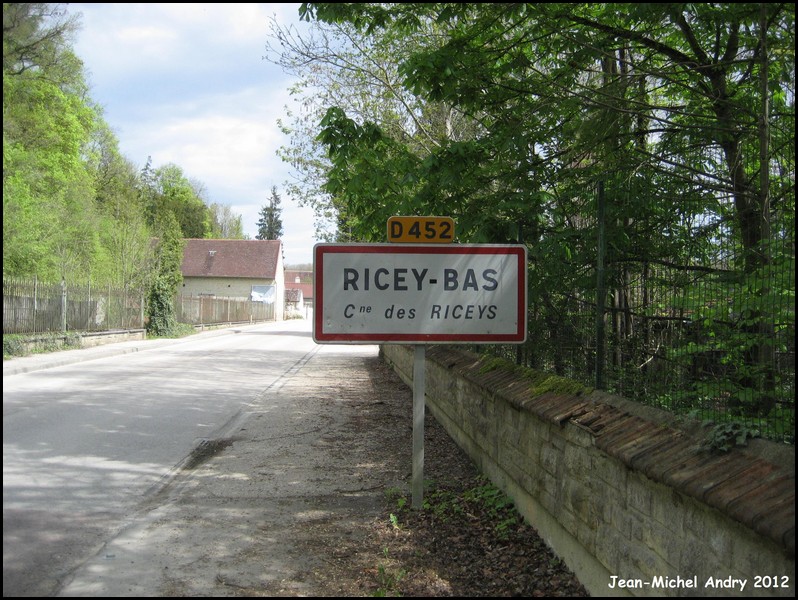 Les Riceys 10 - Jean-Michel Andry.jpg