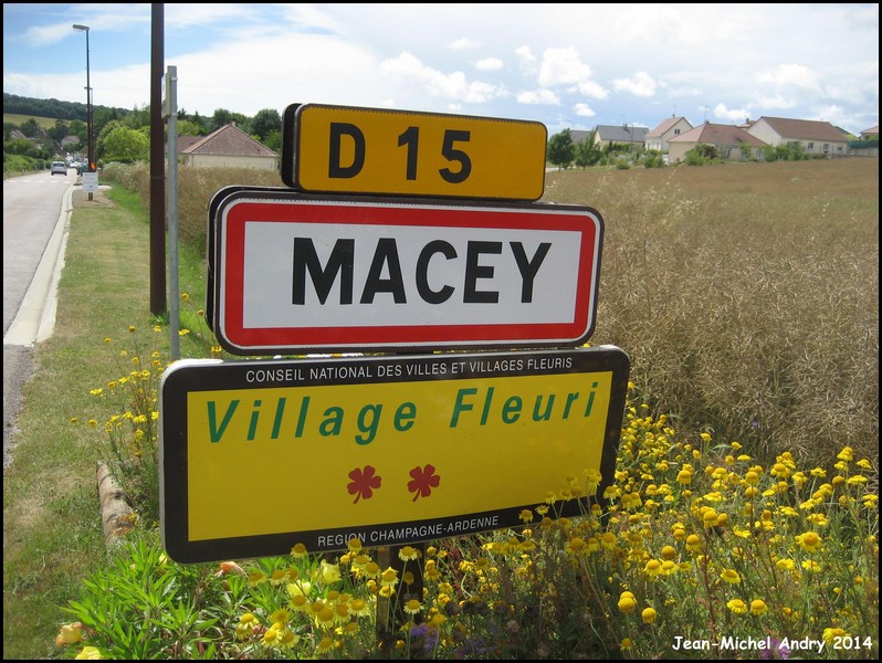 Macey 10 - Jean-Michel Andry.jpg