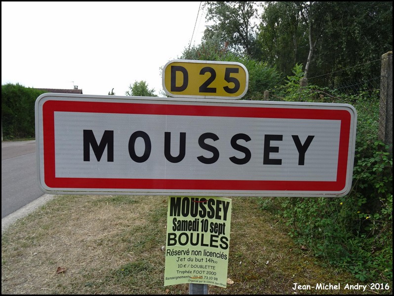 Moussey 10 - Jean-Michel Andry.jpg