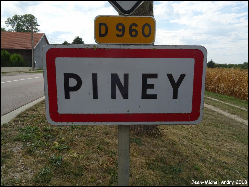Piney 10 - Jean-Michel Andry.jpg