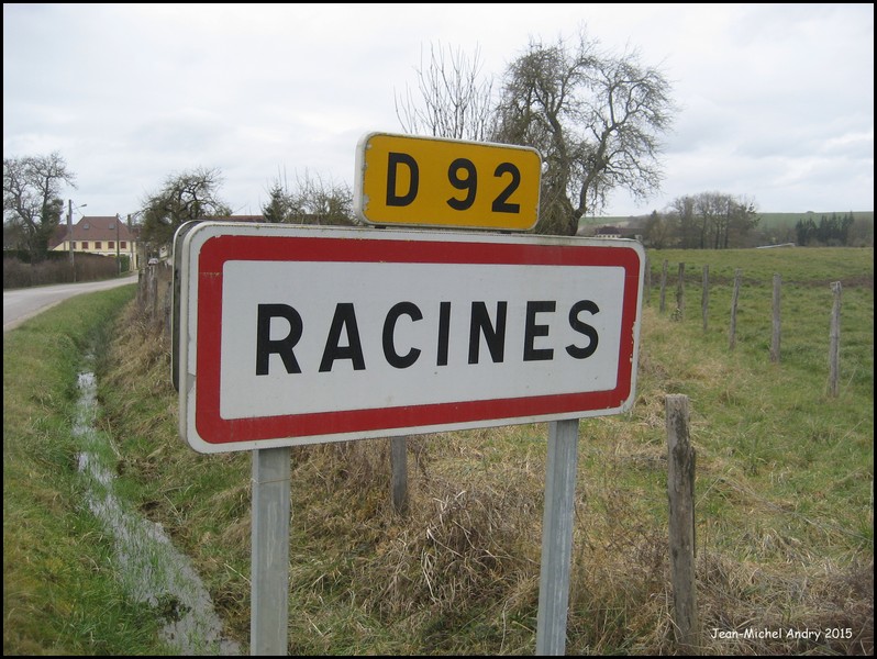 Racines 10 - Jean-Michel Andry.jpg
