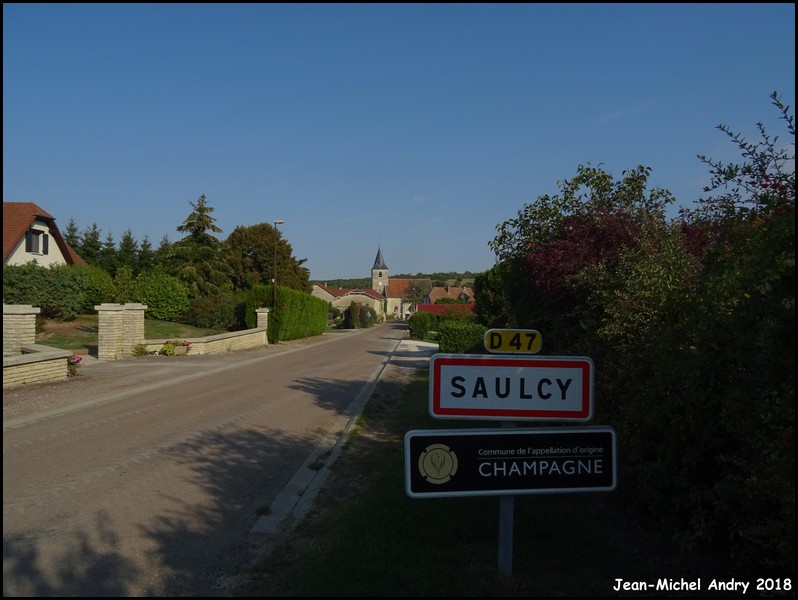 Saulcy 10 - Jean-Michel Andry.jpg