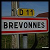Brévonnes 10 - Jean-Michel Andry.jpg