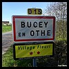 Bucey-en-Othe 10 - Jean-Michel Andry.jpg