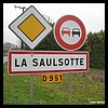 La Saulsotte 10 - Jean-Michel Andry.jpg