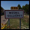 Mesnil-Sellières 10 - Jean-Michel Andry.jpg
