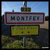 Montfey 10 - Jean-Michel Andry.jpg