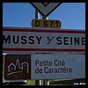 Mussy-sur-Seine 10 - Jean-Michel Andry.jpg