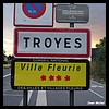 Troyes 10 - Jean-Michel Andry.jpg