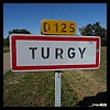Turgy 10 - Jean-Michel Andry.jpg