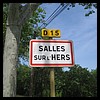 Salles-sur-l'Hers 11 - Jean-Michel Andry.jpg
