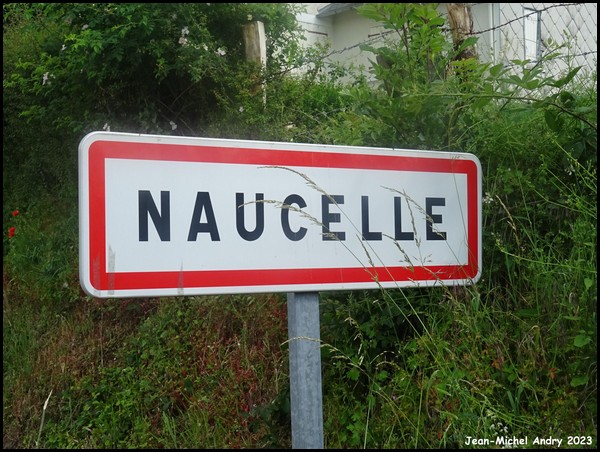Naucelle  12 - Jean-Michel Andry.jpg