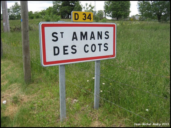 Saint-Amans-des- Côts 12 - Jean-Michel Andry.jpg