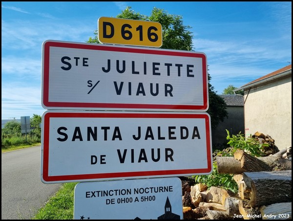 Sainte-Juliette-sur-Viaur 12 - Jean-Michel Andry.jpg