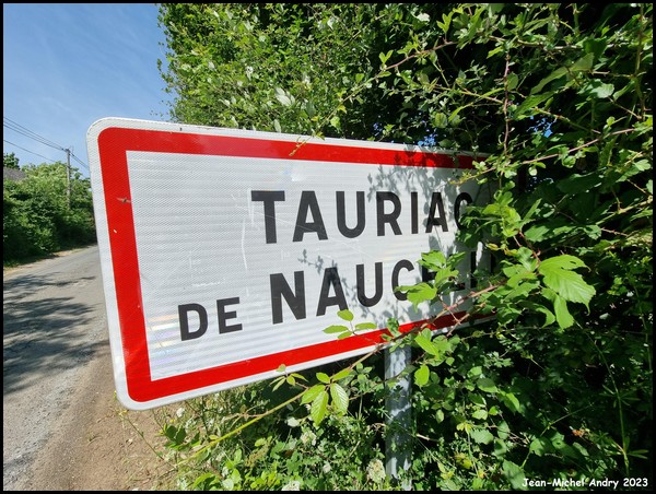 Tauriac-de-Naucelle 12 - Jean-Michel Andry.jpg