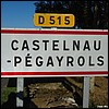 Castelnau-Pégayrols 12 - Jean-Michel Andry.jpg