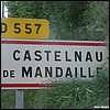 Castelnau-de-Mandailles 12 - Jean-Michel Andry.jpg
