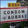 Condom-d'Aubrac 12 - Jean-Michel Andry.jpg