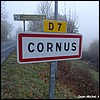 Cornus 12 - Jean-Michel Andry.jpg
