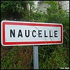Naucelle  12 - Jean-Michel Andry.jpg